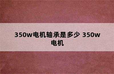 350w电机轴承是多少 350w电机